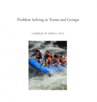 Problem Solving in Teams and Groups