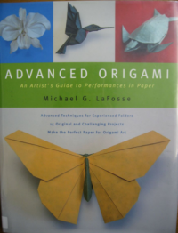 Advanced Origami