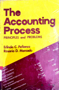 The Accounting Process: Principles and Problems